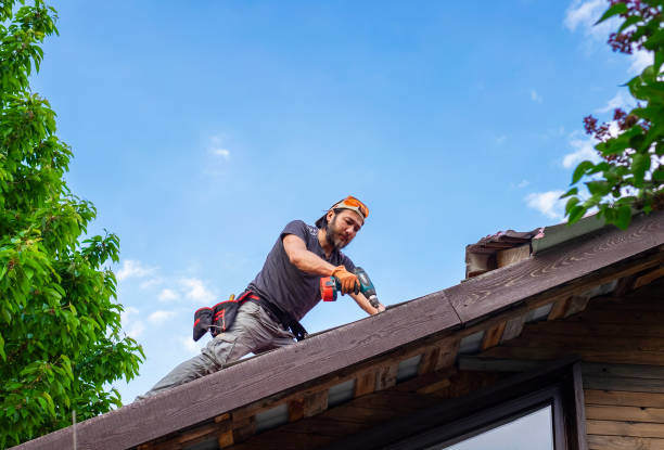 Best Metal Roofing Installation  in Waverly, TN
