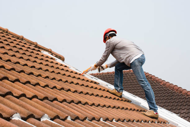 Best Roofing for New Construction  in Waverly, TN